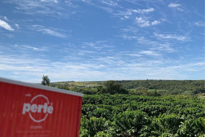 Ktorú kávu Caffè Pertè si vybrať? Sprievodca zmesami podľa chuti a spôsobu prípravy