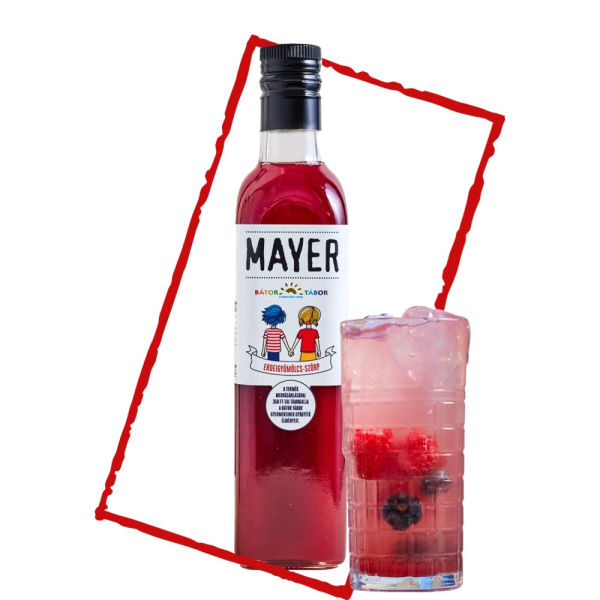 Sirup lesné plody Mayer 0,5 l